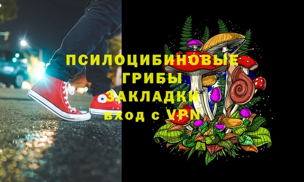 мет Алексин